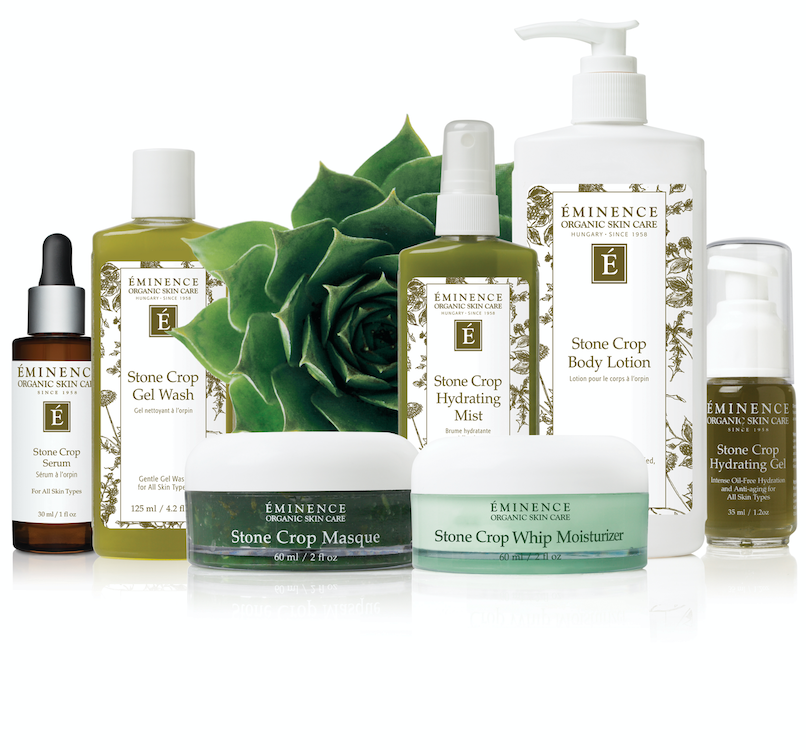 Éminence Stone Crop Gel Wash - Huid Visie